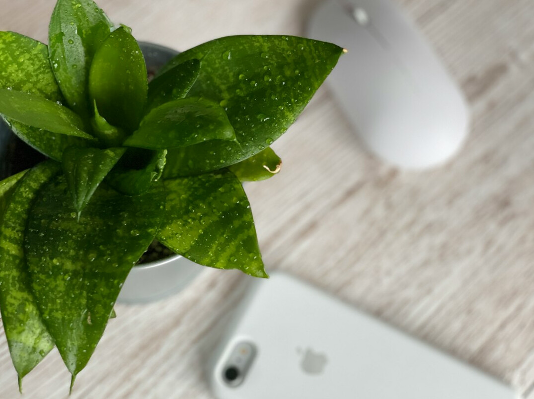 Bureau minimaliste avec téléphone, carnet et plante